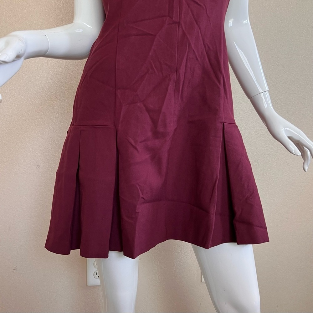 Zara Blogger Fave!! Burgundy Polo Mini Dress - Picture 4 of 10